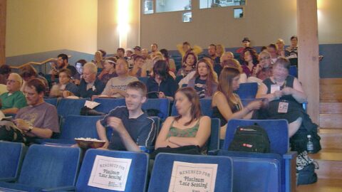 Inside a film festival cinema